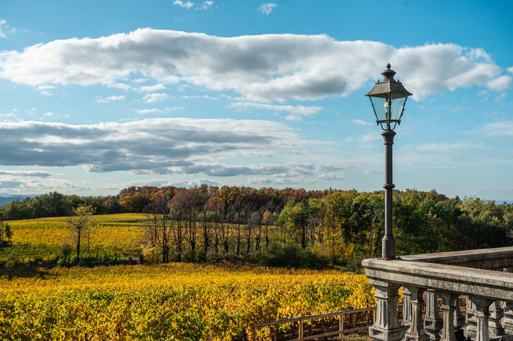 Vini che raccontano una storia di terroir